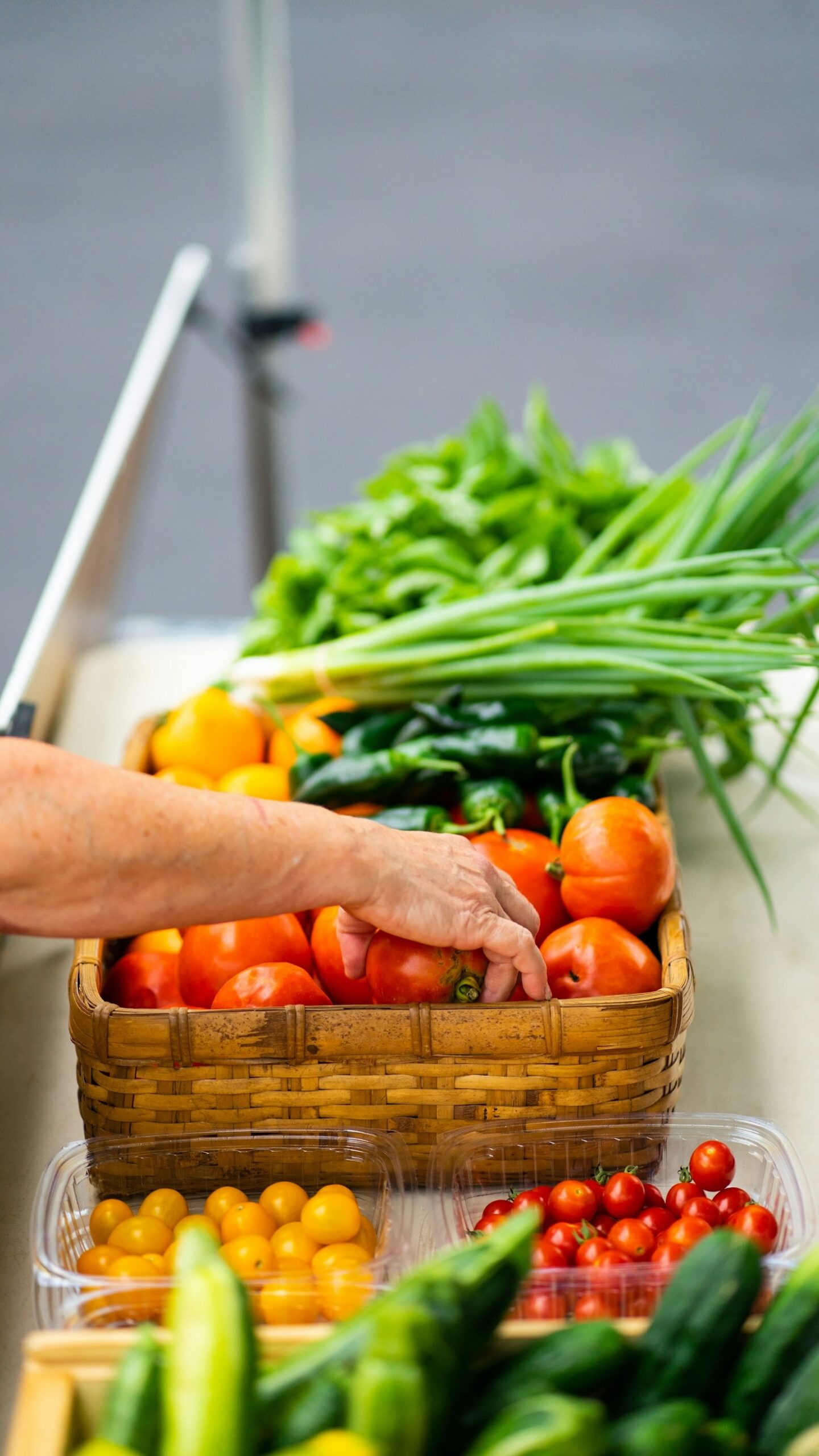 Tips for Storing and Using Fresh Organic Vegetables